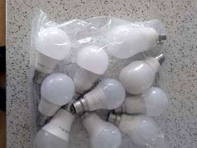 Freecycle Light bulbs