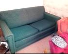 Freecycle Sleeper sofa/couch