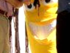 Freecycle One of a kind Christmas gift - giant banana