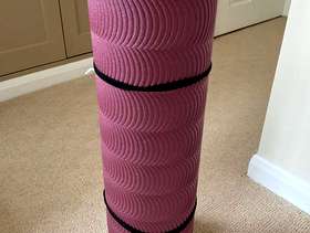 Freecycle Exercise mat