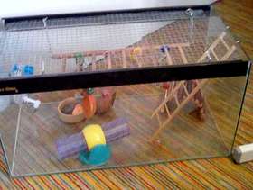 Freecycle Rodent aquarium