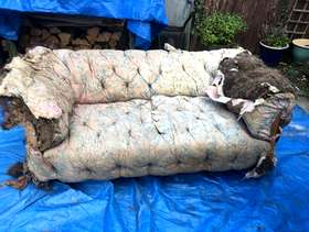 Freecycle Sofa upholstery project