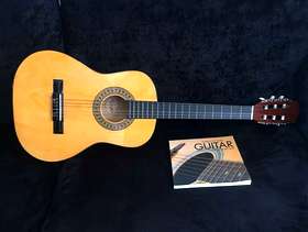Freecycle Guitar