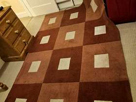 Freecycle Rug