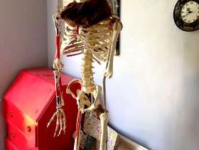 Freecycle Cecil the Skeleton