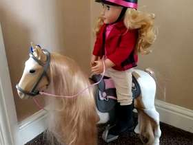 Freecycle My generation horse and doll