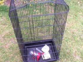 Freecycle Bird cage