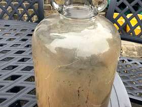 Freecycle Demijohn