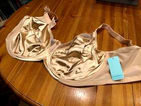 Freecycle Goddess Bra size 46G