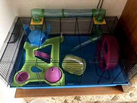Freecycle Hamster Cage