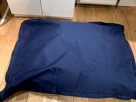 Freecycle Floor cushion