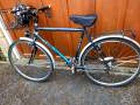 Freecycle Gents cycle