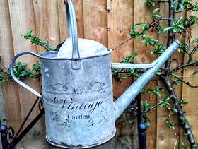 Freecycle Vintage galvanised watering can planter