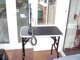 Freecycle Dog grooming table