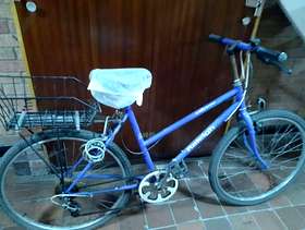Freecycle Raleigh Calypso bicycle & accessories