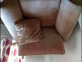 Freecycle Sofa and armchair