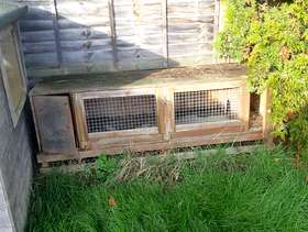 Freecycle Rabbit hatch