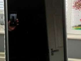 Freecycle Silver Freestanding Mirror