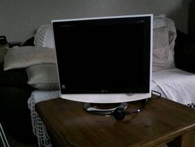 Freecycle LG Monitor
