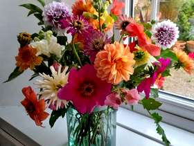 Freecycle Fresh flowers for the weekend