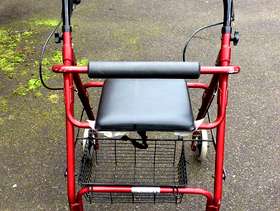 Freecycle Mobility stroller