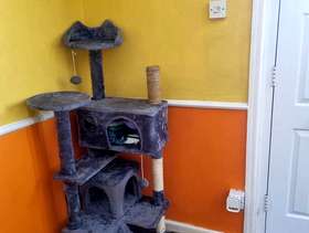 Freecycle Cat tree