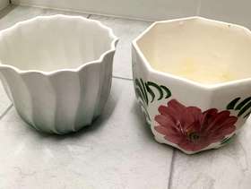 Freecycle Plant pots