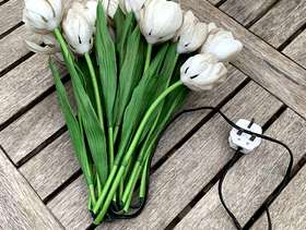 Freecycle Tulip lamp