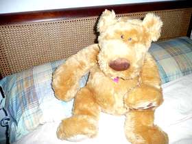 Freecycle Mail on Sunday promotional Teddy Bear 24”