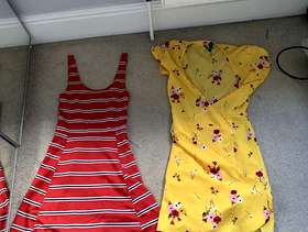 Freecycle Dress combo