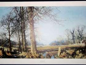 Freecycle Unframed print "March Sunlight"