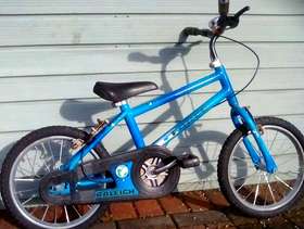Freecycle Childs Raleigh Bike