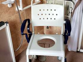 Freecycle Shower Chair/Commode