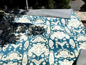 Freecycle Free 8x10 rug