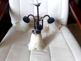 Freecycle Light fittings - ceiling and wall