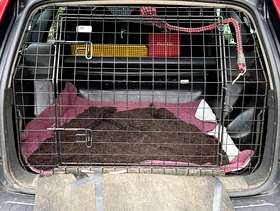 Freecycle Barjo dog tailgate guard for a Volvo V50