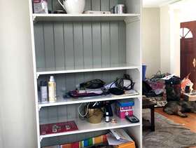 Freecycle IKEA shelves