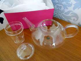 Freecycle Clear Glass Teapot with Infuser + Free Oolong Tea, Exotic ...