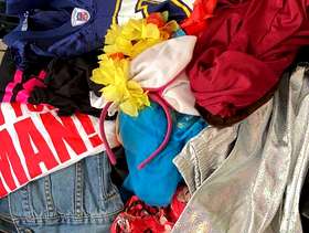Freecycle Fancy/Dressing up items