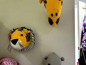 Freecycle Nursery Animal Decorations
