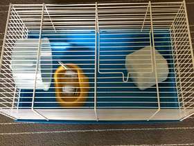 Freecycle Hamster Cage