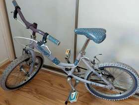 Freecycle Bicycle