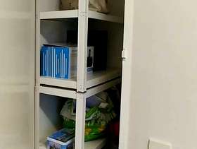 Freecycle 2 small metal shelving units