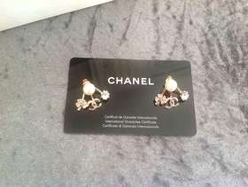 Freecycle New earrings £10