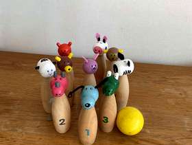 Freecycle Wooden skittles