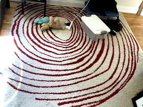 Freecycle Area Rug