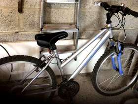 Freecycle Ladies bike