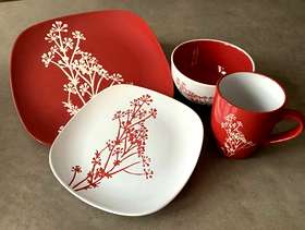 Freecycle 32 piece crockery set