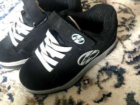 Freecycle Passion flower stems healthy strong