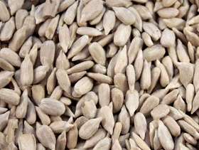 Freecycle Wild Bird Sunflower Heart Chips